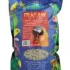 Vetafarm Macaw Nuts 2kg -Bird Food Sales 380b2fb83a63b27ebe9c429a1b7e39e3.image .225x271
