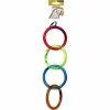 Avi One Parrot Toy Acrylic 4 Rings -Bird Food Sales 9325136130515A